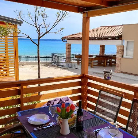 Happiness * 프리블라카