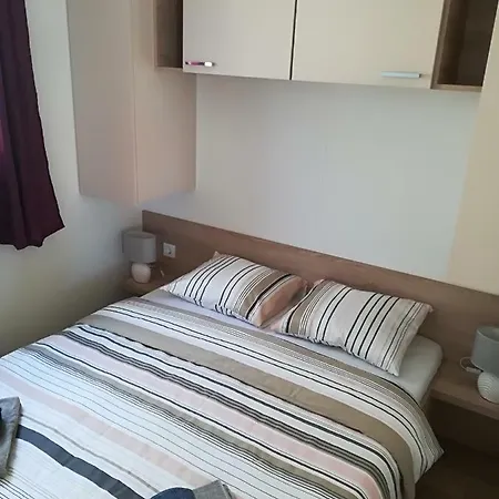 Happiness * 프리블라카